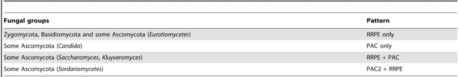 Table 2. Summary of individual motifs and motif patterns in upstream regions of RBA genes.