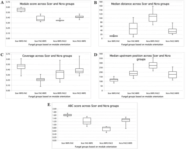 Figure 3 shows the distribution of RRPE and PAC motif patterns across fungal evolution
