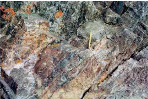 Fig. 4. T he gold bearing mylonite zone. K- K-feldspar occurs on the right side of the yellow magnet pen (10 cm long)