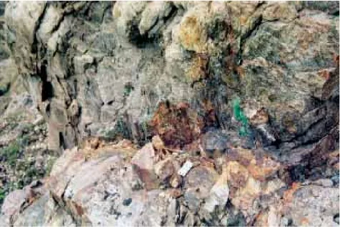 Fig. 5. T he gold bearing zone (10 cm wide) within the mylonite zone, with malachite and rusty weathered sulphides.