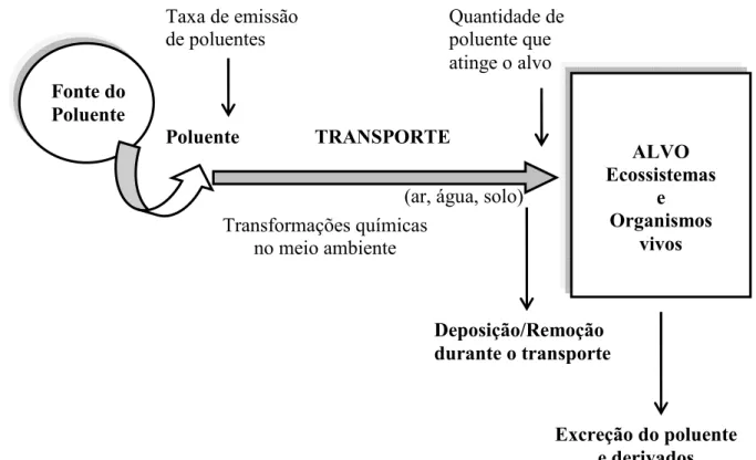 Figura 1.2 Modelo simplificado de poluição ambiental (adaptado de Alloway e Ayres, 1993).