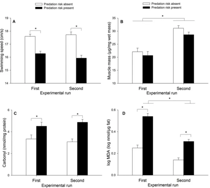 Figure 1. Effect of predation risk on swimming speed, abdominal muscle mass and oxidative damage