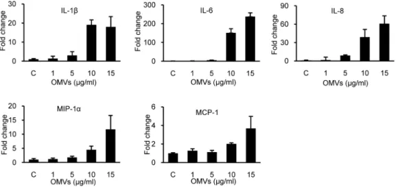 Figure 2. The pro-inflammatory response of HEp-2 cells to A. baumannii OMVs. HEp-2 cells were treated with different concentrations (1–
