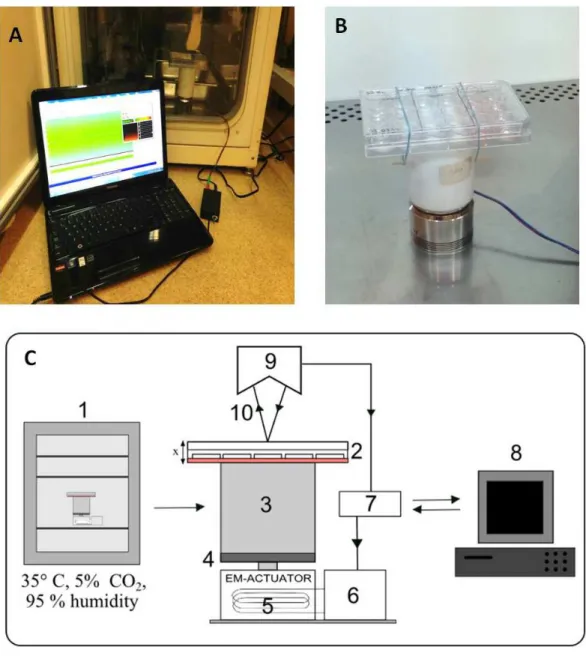 Figure 1 Vibration generation prototype. Actuator with cell culture plate connected with PC software, put inside a CO 2 incubator (A)