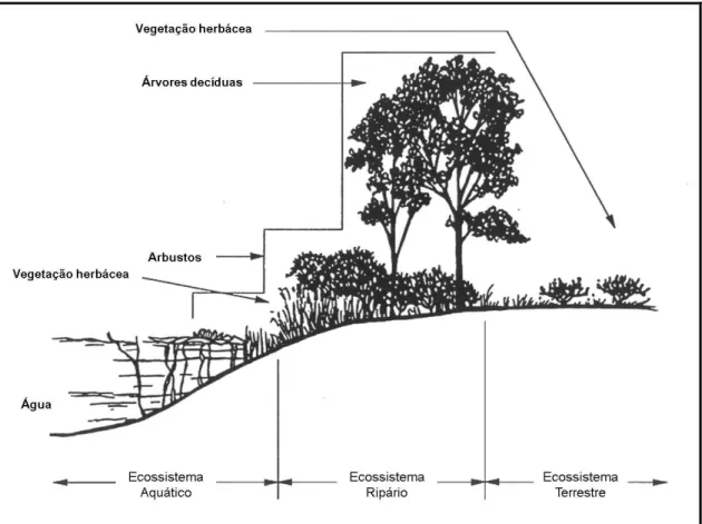 Figura 9. Esquema representativo do ecossistema ripário. (Fonte: Adaptado do Bureau of Land Management, 1991)