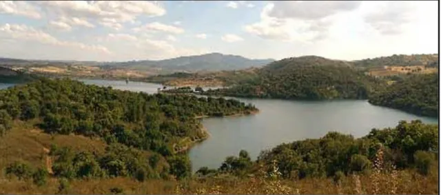 Figura 21. Fotografia da Paisagem Protegida da Albufeira do Azibo que expõe a densa vegetação ciliar existente