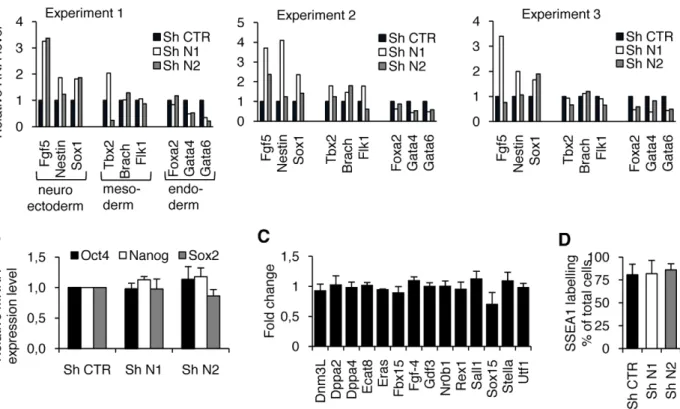 Figure 3. HP1c knockdown increases the proportion of cells expressing the differentiation marker Brachyury