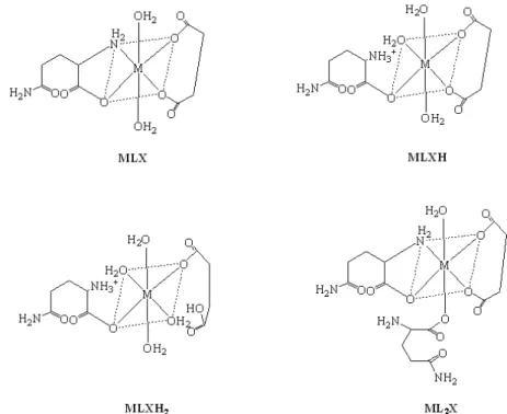 Fig. 3. Structures of ternary complexes of Co(II), Ni(II), Cu(II) with Gln and Suc. 