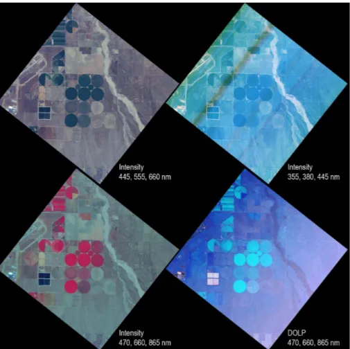 Fig. 3. Georectified imagery acquired during AirMSPI’s maiden flight on 7 October 2010