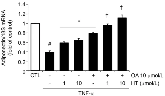Fig 4. Effect of combined treatment with HT and OA on TNF-α-induced inhibition of adiponectin mRNA expression