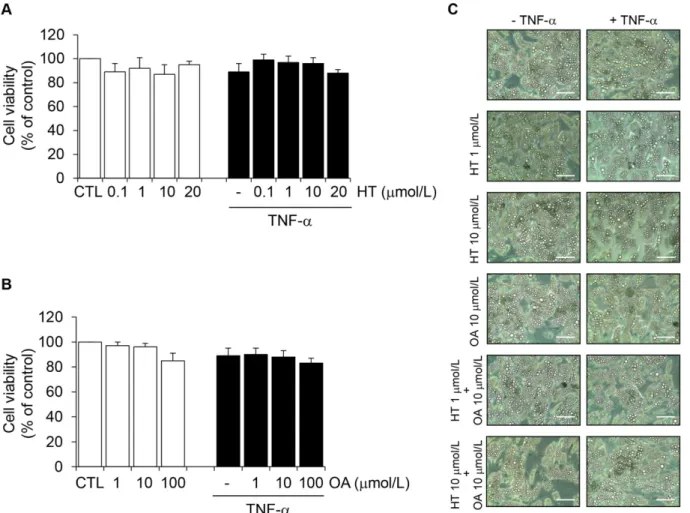 Fig 2. The effect of HT and OA treatment on cell viability. SGBS adipocytes were treated with HT (1 h) (A) or OA (48 h) (B) at the concentrations indicated, and then either treated with 10 ng/mL TNF-α (black-filled bars), or left untreated (open white bars