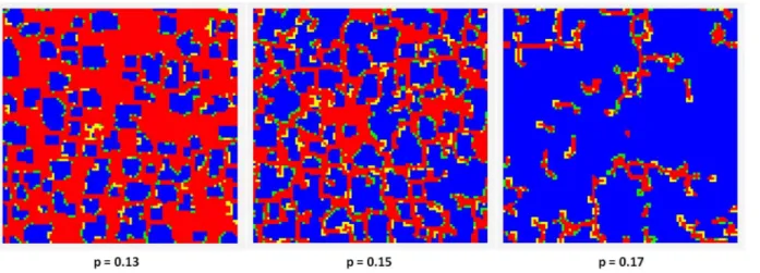 Figure 4. H-cluster formation in a 100 | 100 population after 1000 rounds, for different punishment probabilities p ~ 0:13, 0:15, and 0:17.