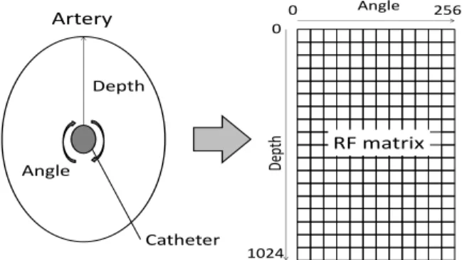 Fig. 1.  Information obtained from the IVUS probe for one cross-section of the  coronary artery