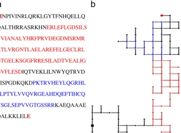 Fig. 2. Building the 2D-HP map on Cartesian axes for the protein fragment DEDKV: (a) the coordinates for each amino acid in Cartesian system and (b) the deﬁnition of the bond adjacency matrix derived from the 2D-HP map