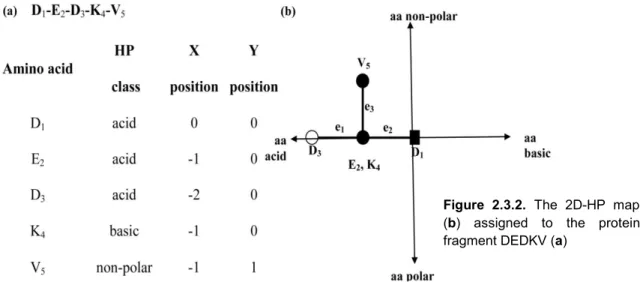 Figure  2.3.2.  The  2D-HP  map  (b)  assigned  to  the  protein  fragment DEDKV (a) 