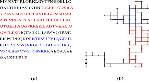 Figure 2.3.3. (a) RNase III protein sequence from  Escherichia coli  BL21 substrain GG1108 (b) 2D-HP map for  the RNase III protein