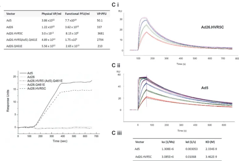 Fig 3. Generation of Ad26 hexon modified vectors and effects on FX binding by SPR. (A) Virus titers and vp/pfu ratios for each of the vectors produced.