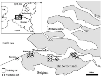 Fig. 1. Geographical position of the study sites in the Scheldt Estuary. Boxed: six shells from Terneuzen were used for training the models