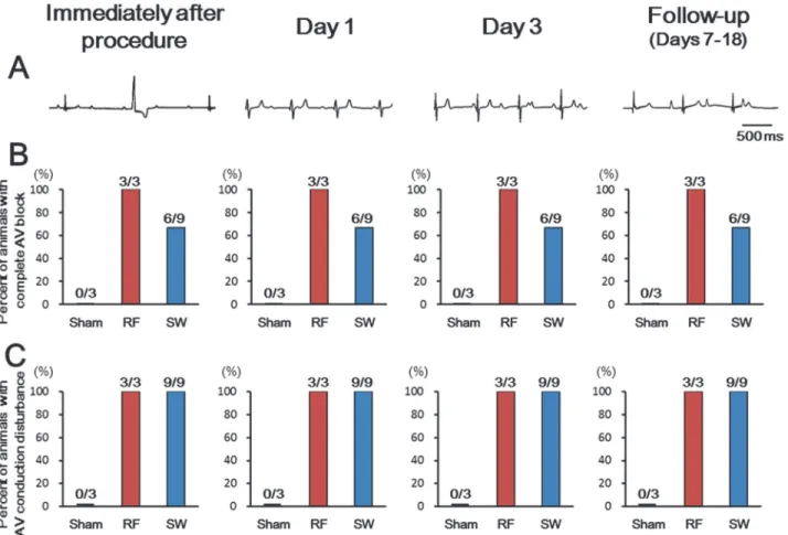 Fig 7. Persistent Electrophysiological Effect of SWCA. Representative ECGs with AV dissociation in a SW-treated animal (A) and the percentage of animals presenting with complete AV block (B) or any AV conduction disturbance including complete AVB in panel 