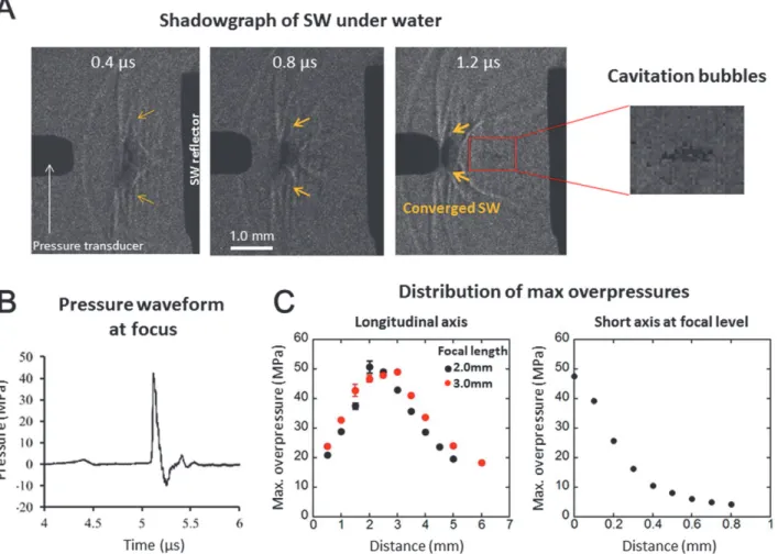 Fig. 2A shows a shadowgraph sequence of the SW emerging from the reflector and converging onto the focus point in the degassed saline