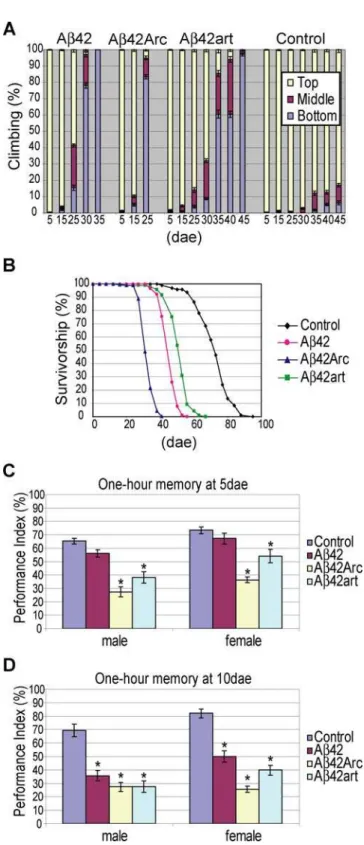 Figure 2. Behavioral defects in Ab42, Ab42Arc, and Ab42art flies. A, Locomotor dysfunction