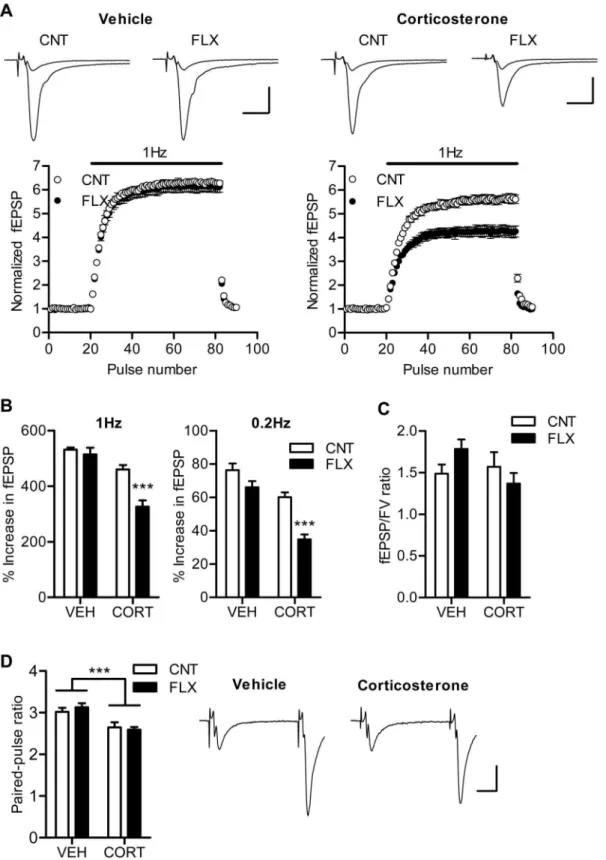 Figure 2. Corticosterone facilitates effects of fluoxetine on frequency facilitation. (A) The time course of frequency facilitation induced by 1-Hz stimulation