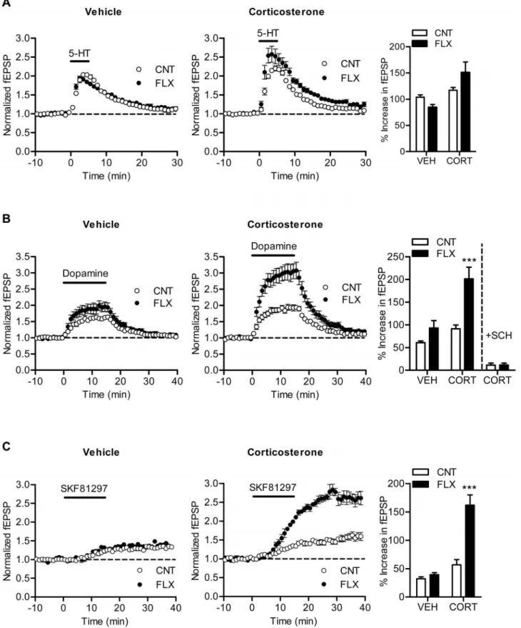 Figure 3. Effects of fluoxetine on monoaminergic synaptic modulation in corticosterone-treated mice