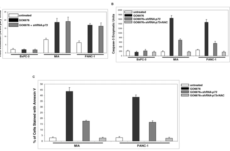 Figure 7. Induction of apoptosis in pancreatic cancer cells harboring mutated K-ras . A