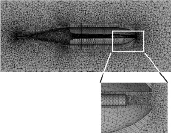 Fig. 1 – Image of the computational mesh with a close up view of elements near the probe nose.
