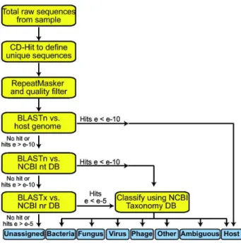 Table 1. Results of complement fixation test with Salanga and other selected phleboviruses.