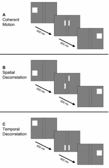 Figure 2. Simplified schematic of motion stimuli. The behavior of a single dot in timeframes of 500 ms is shown