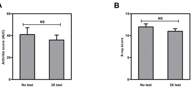 Figure 1. Arthritis development. Arthritis development in mice subjected to blood glucose kinetics three times and in mice in which no experiments were performed