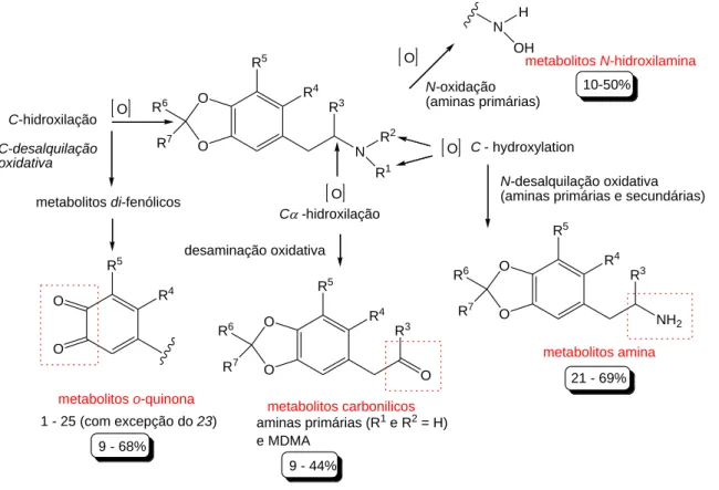 FIG 3. Principais mecanismos de metabolização, previsto pelo ADMETpredictotTM, do grupo de  empatogénios estudado