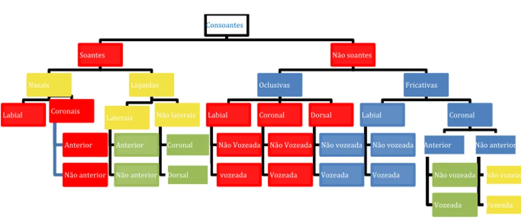 Figura 10 - Representação da aquisição do sistema fonológico do português europeu à luz do Modelo  Padrão de Aquisição de Contrastes (Lazzarotto-Volcão, 2009; 2016 com base nos dados para o 