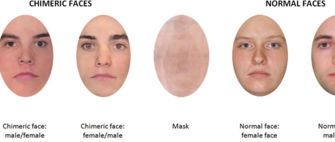 Figure 1. Stimuli samples and mask. Faces were selected from the Minear and Park database.