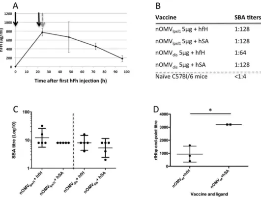 Fig 5. Effect of the presence of hfH in mice on the nOMV immunogenicity. A. Evolution of hfH
