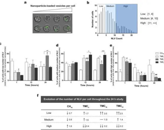 Fig. 4. Quantification of the number of nanoparticle-loaded vesicles (NLV) per cell as a function of  time  of  incubation