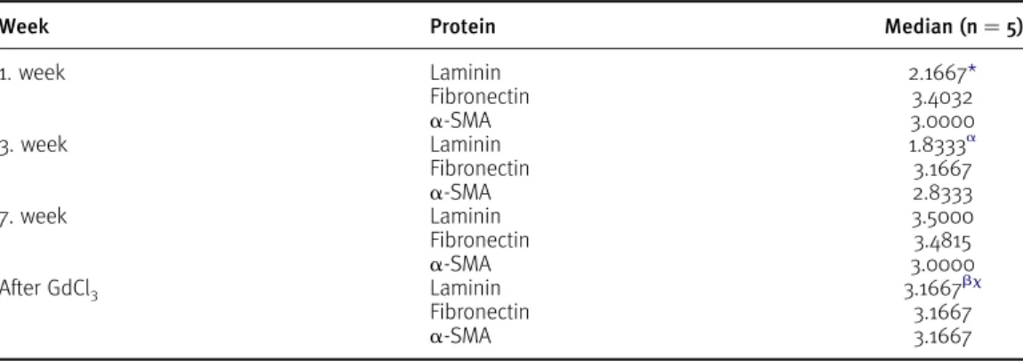 Table 1. The immunostaining of laminin, fibronectin and a-SMA after CCl 4 administration, and the effect of GdCl 3 treatment on the stains.