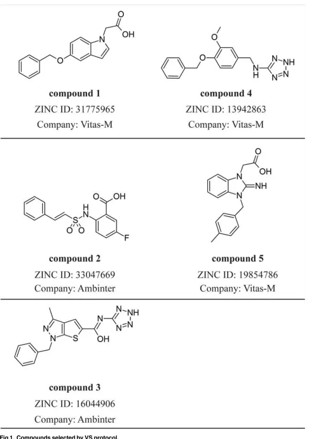 Fig 1. Compounds selected by VS protocol.