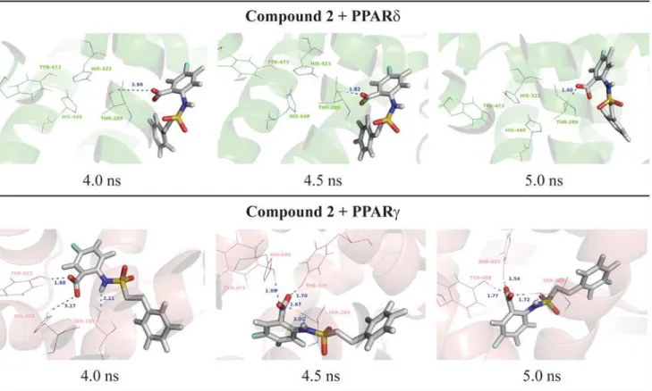 Fig 4. Final nanosecond snapshots of compound 2 molecular dynamic simulations in complex with PPAR subtypes