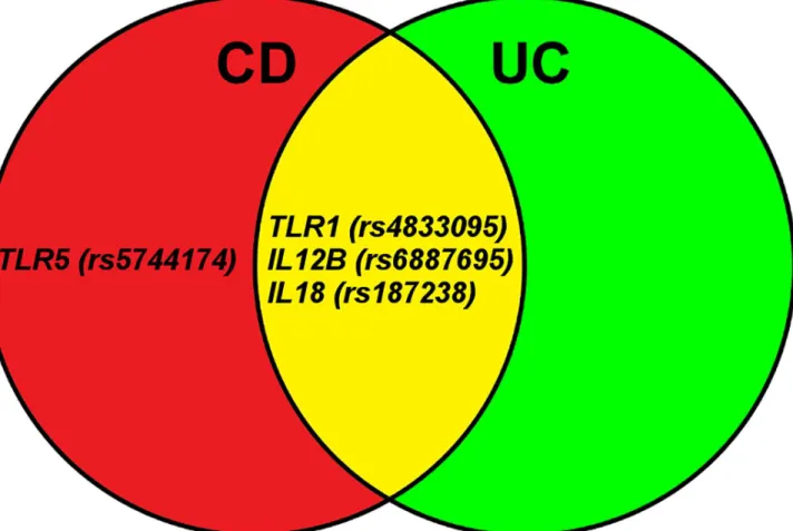 Fig 1. Eighteen functional single nucleotide polymorphisms (SNPs) in 14 genes were successfully genotyped and 4 SNPs in 4 genes were found to be associated with susceptability of severe Crohn ’ s disease (CD), ulcerative colitis (UC) or combined CD and UC