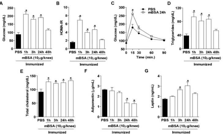 Fig 2. Systemic metabolic alterations in antigen-induced arthritis mice at different time points