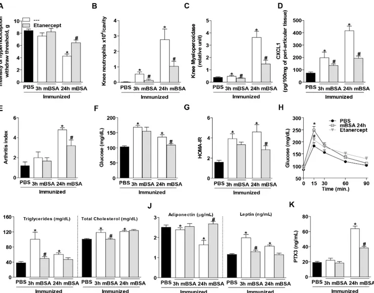Fig 3. Pre-treatment with Etanercept improves the altered metabolic parameters of antigen-induced arthritis mice