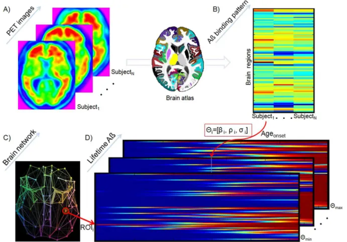 Figure 1. Reconstruction of individual Aß propagation/deposition histories using an ESM
