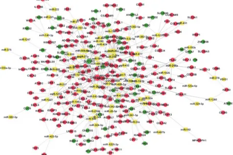 Fig 3. miRNA-target network for gastric cancer. Red circles are up-regulated genes, while green circles are down-regulated genes and the yellow squares represent miRNAs