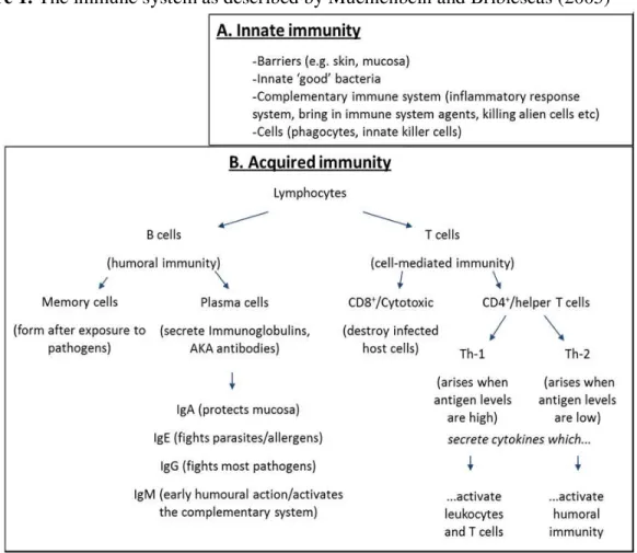 Figure 1. The immune system as described by Muehlenbein and Bribiescas (2005) 