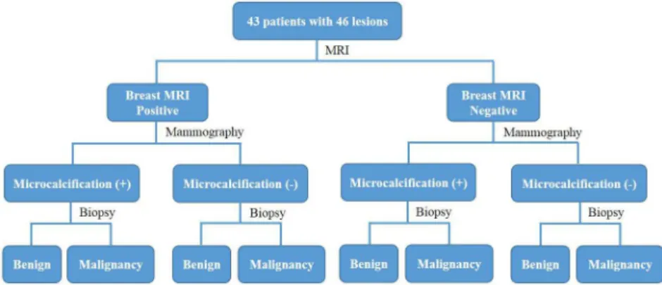 Fig 2. The study flowchart of evaluation of lesion using integrated information from MRI and mammography.
