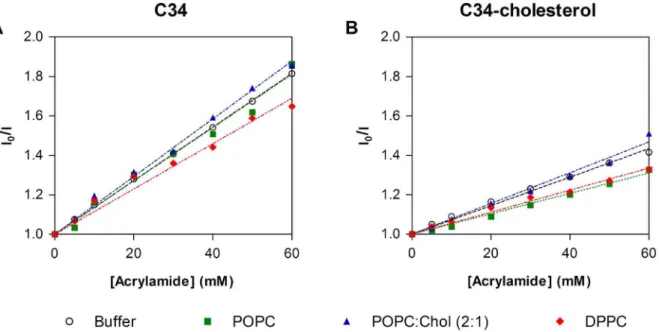 Figure 5. Localization of C34-cholesterol in the bilayer. (A–B) Stern-Volmer plots for the quenching of C34-cholesterol fluorescence by 5NS or 16NS in POPC (A) and POPC:Chol 2:1 (B) LUV, using time-resolved fluorescence measurements
