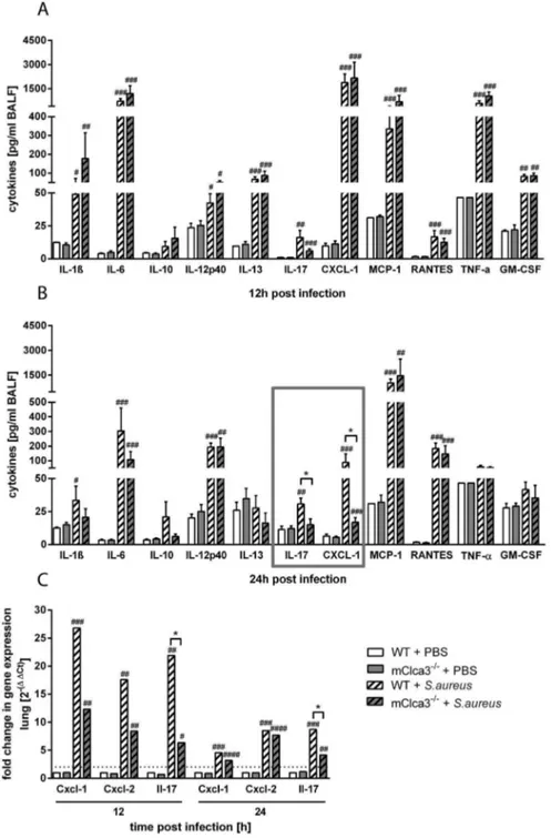 Figure 2. Chemokine CXCL-1 and cytokine IL-17 were significantly decreased in BALF of infected mCLCA3-deficient mice