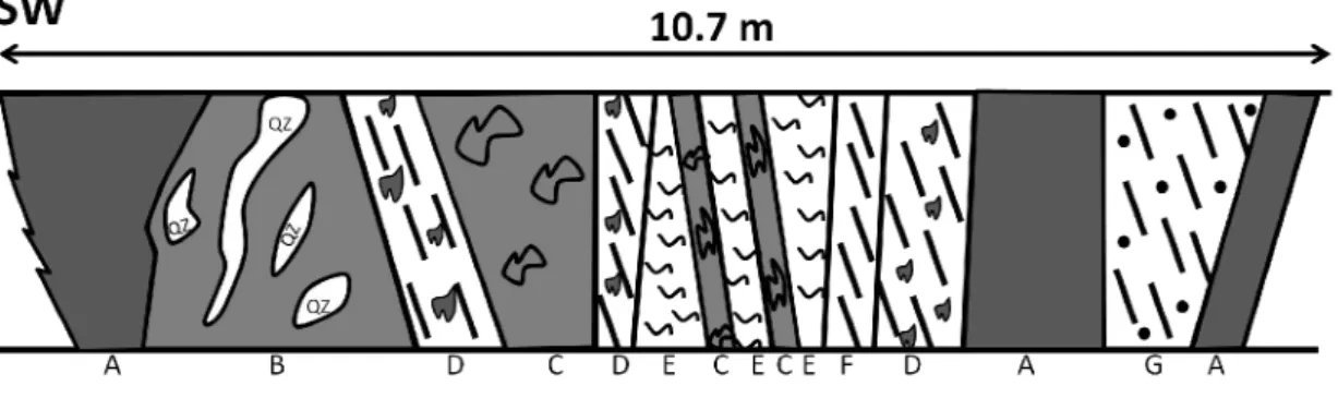 Figura 6 - Corte geológico de trincheira (ponto NE05). A - Níveis escuros de textura maciça; B - Níveis ricos em veios  quarzto  com  impregnações  escuras;  C  -  Níveis  escuros  alterados  com  textura  vacuolar;  D  -  Xistos  verdoengos  com  impregna